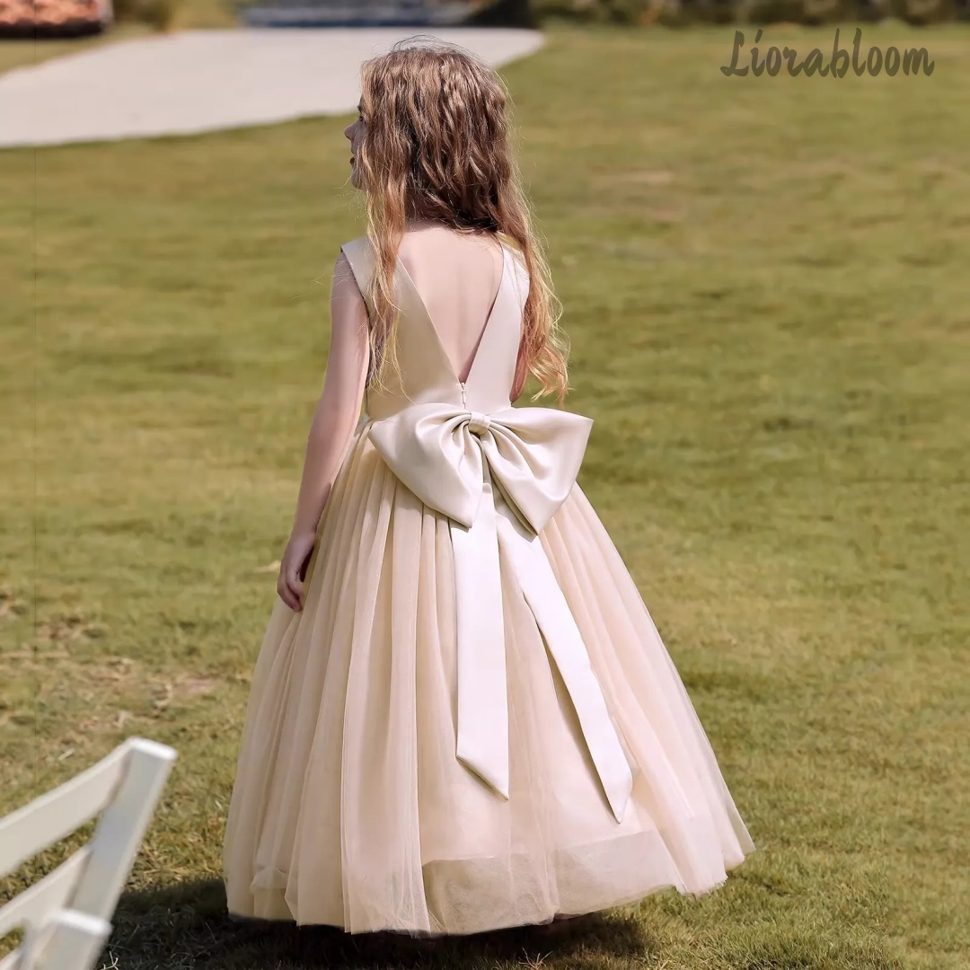 ชุดเดรสเจ้าหญิงหลากสีแบบเปิดหล - Woman Formal Wear บทวิจารณ์และราคา